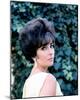 Elizabeth Taylor-null-Mounted Photo