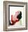 Elizabeth Taylor-null-Framed Photo