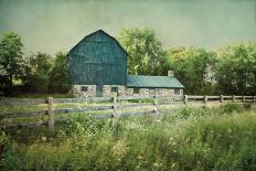 Blissful Country III Crop-Elizabeth Urquhart-Framed Art Print