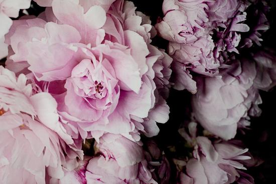 Photo, , large