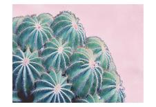 Pink Crush II-Elizabeth Urquhart-Art Print