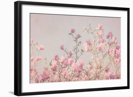 Photo, , large