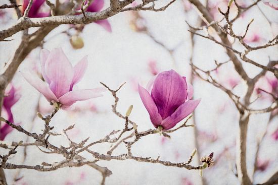 Photo, , large