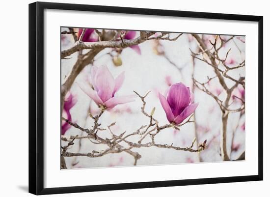 Photo, , large