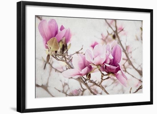 Photo, , large