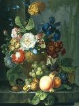 Still Life of Flowers in a Terracotta Vase-Elizabeth Van Hoogenhuyzen-Framed Giclee Print