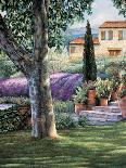 Provence Afternoon II-Elizabeth Wright-Art Print