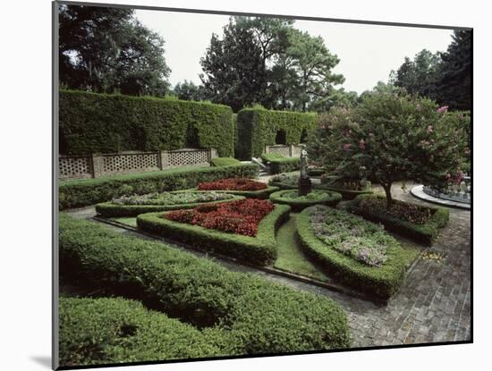 Elizabethan Garden, North Carolina, USA-null-Mounted Photographic Print