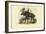 Elk, 1863-79-Raimundo Petraroja-Framed Giclee Print