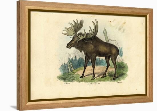 Elk, 1863-79-Raimundo Petraroja-Framed Premier Image Canvas