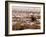 Elk at Jackson Hole, National Elk Refuge, Wyoming, USA-Dee Ann Pederson-Framed Photographic Print