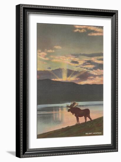 Elk at Sunset, Big Sky, Montana-null-Framed Art Print