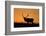 Elk Bull Silhouetted at Sunset, Montana-Richard and Susan Day-Framed Photographic Print