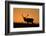 Elk Bull Silhouetted at Sunset, Montana-Richard and Susan Day-Framed Photographic Print