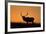 Elk Bull Silhouetted at Sunset, Montana-Richard and Susan Day-Framed Photographic Print