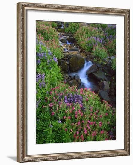 Elk Creek and Wildflowers-Steve Terrill-Framed Photographic Print