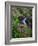 Elk Creek and Wildflowers-Steve Terrill-Framed Photographic Print