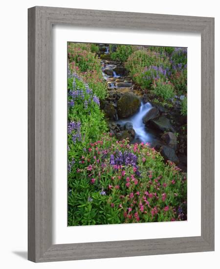 Elk Creek and Wildflowers-Steve Terrill-Framed Photographic Print