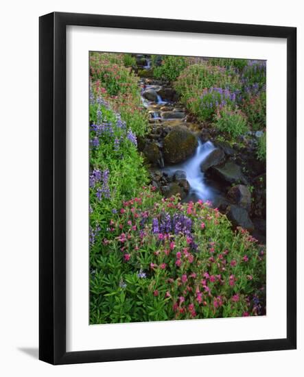 Elk Creek and Wildflowers-Steve Terrill-Framed Photographic Print