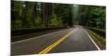 Photographic Print