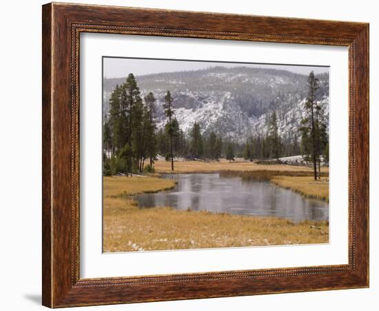 Elk, Firehole River, Yellowstone National Park, UNESCO World Heritage Site, Wyoming, USA-Pitamitz Sergio-Framed Photographic Print