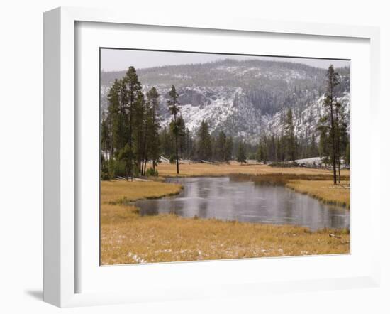 Elk, Firehole River, Yellowstone National Park, UNESCO World Heritage Site, Wyoming, USA-Pitamitz Sergio-Framed Photographic Print