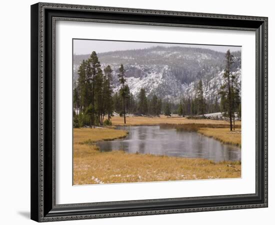 Elk, Firehole River, Yellowstone National Park, UNESCO World Heritage Site, Wyoming, USA-Pitamitz Sergio-Framed Photographic Print