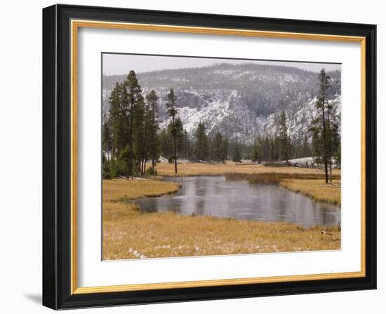 Elk, Firehole River, Yellowstone National Park, UNESCO World Heritage Site, Wyoming, USA-Pitamitz Sergio-Framed Photographic Print