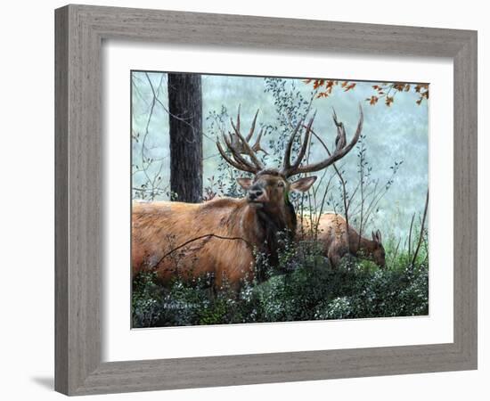 Elk Foraging-Kevin Daniel-Framed Art Print