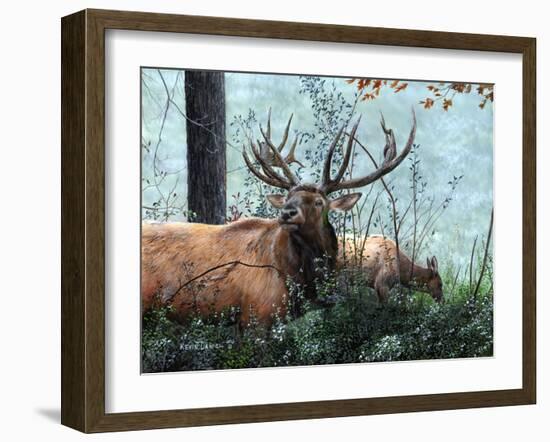 Elk Foraging-Kevin Daniel-Framed Art Print