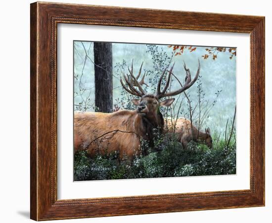 Elk Foraging-Kevin Daniel-Framed Art Print