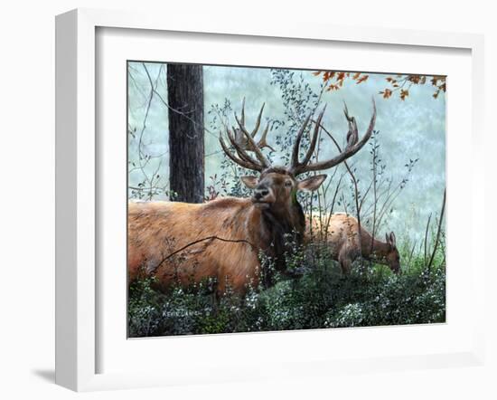 Elk Foraging-Kevin Daniel-Framed Art Print