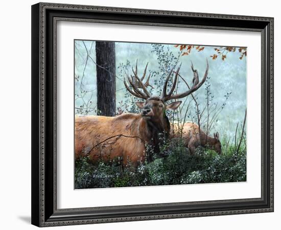 Elk Foraging-Kevin Daniel-Framed Art Print