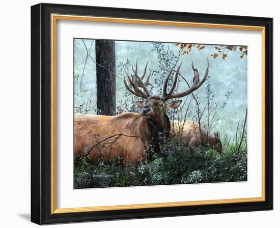 Elk Foraging-Kevin Daniel-Framed Art Print