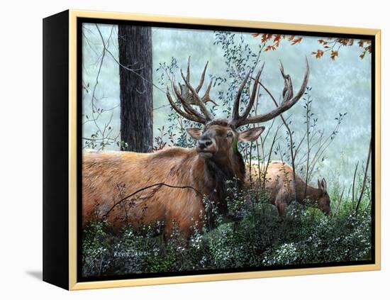 Elk Foraging-Kevin Daniel-Framed Stretched Canvas