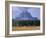 Elk Grazing in Foreground with Mt. Moran in the Background-Eliot Elisofon-Framed Photographic Print