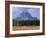 Elk Grazing in Foreground with Mt. Moran in the Background-Eliot Elisofon-Framed Photographic Print