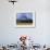 Elk Grazing in Foreground with Mt. Moran in the Background-Eliot Elisofon-Framed Photographic Print displayed on a wall