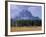 Elk Grazing in Foreground with Mt. Moran in the Background-Eliot Elisofon-Framed Photographic Print