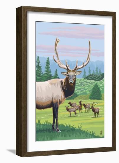 Elk Herd-Lantern Press-Framed Art Print