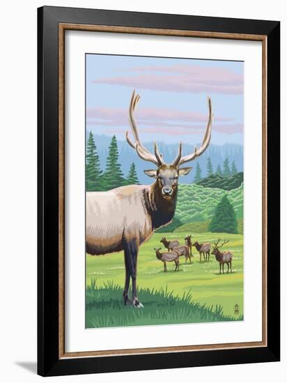 Elk Herd-Lantern Press-Framed Art Print