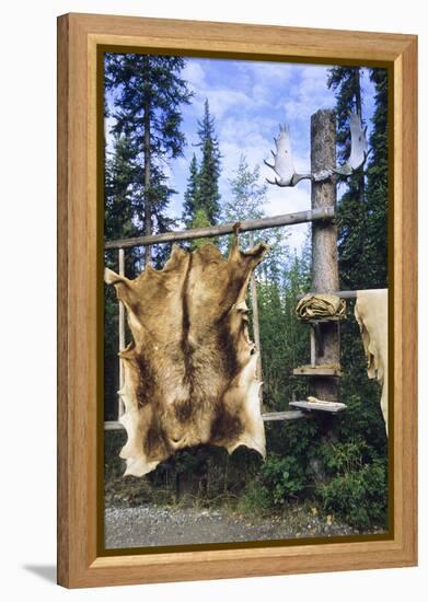 Elk Hide over Wooden Rack for Easy Scraping and Tanning. Alaska-Angel Wynn-Framed Premier Image Canvas