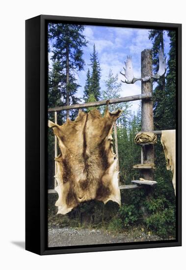 Elk Hide over Wooden Rack for Easy Scraping and Tanning. Alaska-Angel Wynn-Framed Premier Image Canvas