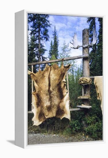 Elk Hide over Wooden Rack for Easy Scraping and Tanning. Alaska-Angel Wynn-Framed Premier Image Canvas