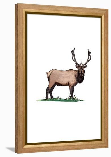 Elk - Icon-Lantern Press-Framed Stretched Canvas