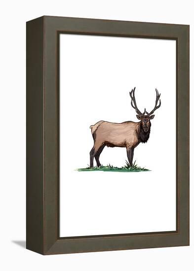 Elk - Icon-Lantern Press-Framed Stretched Canvas