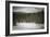 Elk In Jasper-Lindsay Daniels-Framed Photographic Print