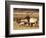 Elk in Meadow, Yellowstone National Park, Wyoming, USA-Jamie & Judy Wild-Framed Photographic Print