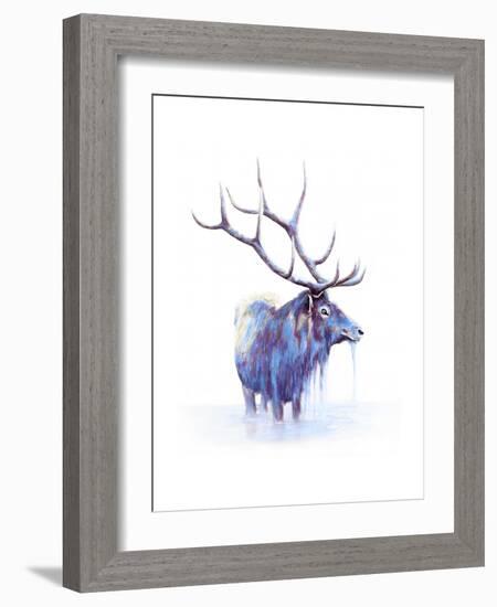 Elk in Water-Michelle Faber-Framed Giclee Print