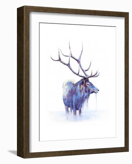 Elk in Water-Michelle Faber-Framed Giclee Print